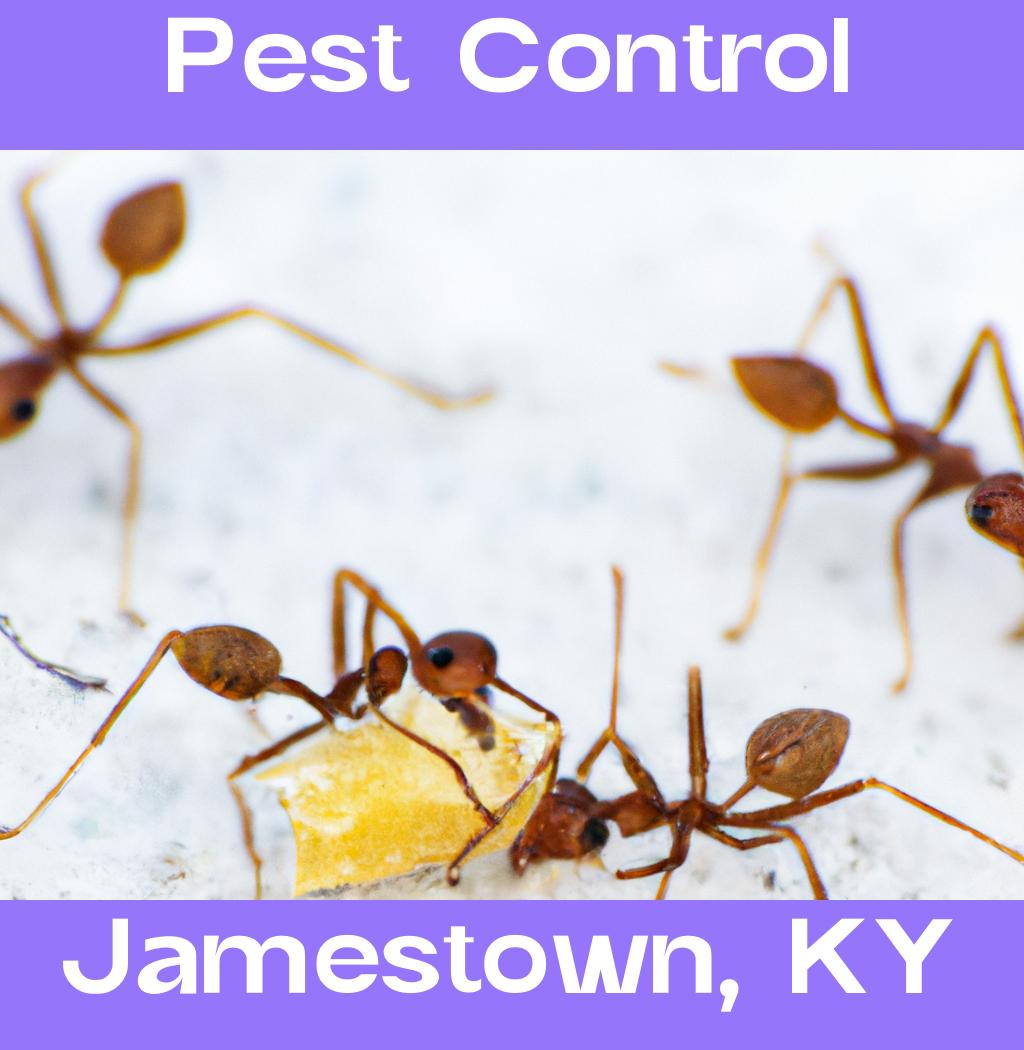 pest control in Jamestown Kentucky