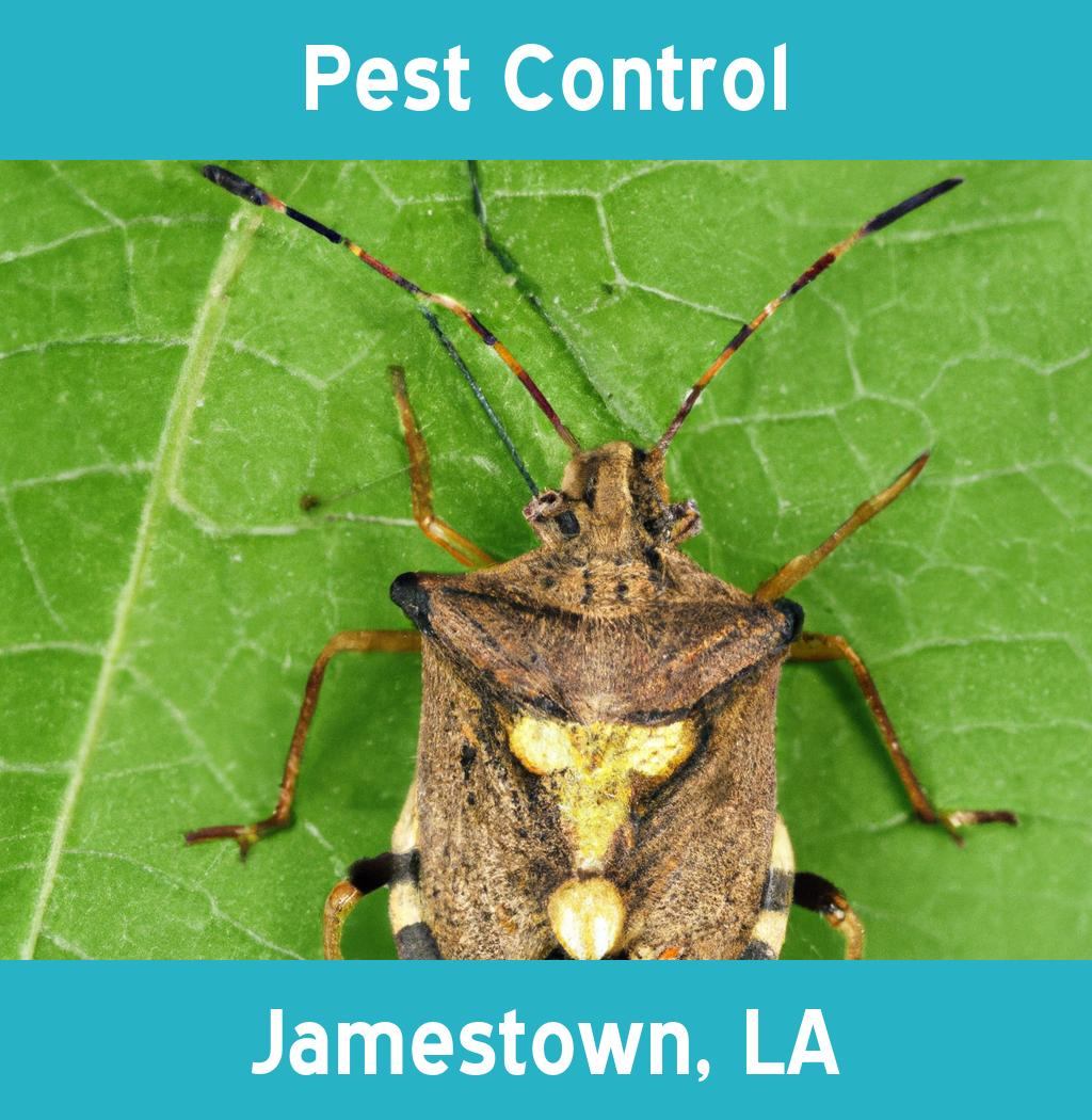 pest control in Jamestown Louisiana
