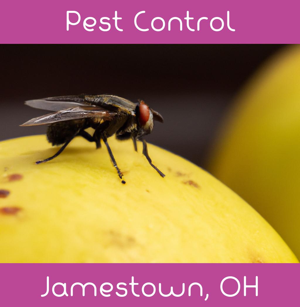 pest control in Jamestown Ohio