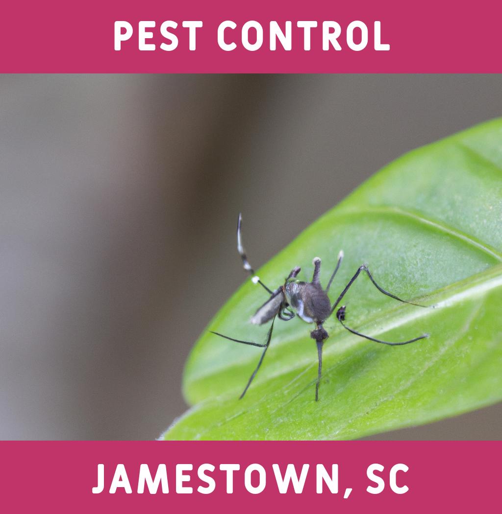 pest control in Jamestown South Carolina