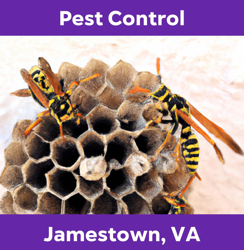 pest control in Jamestown Virginia