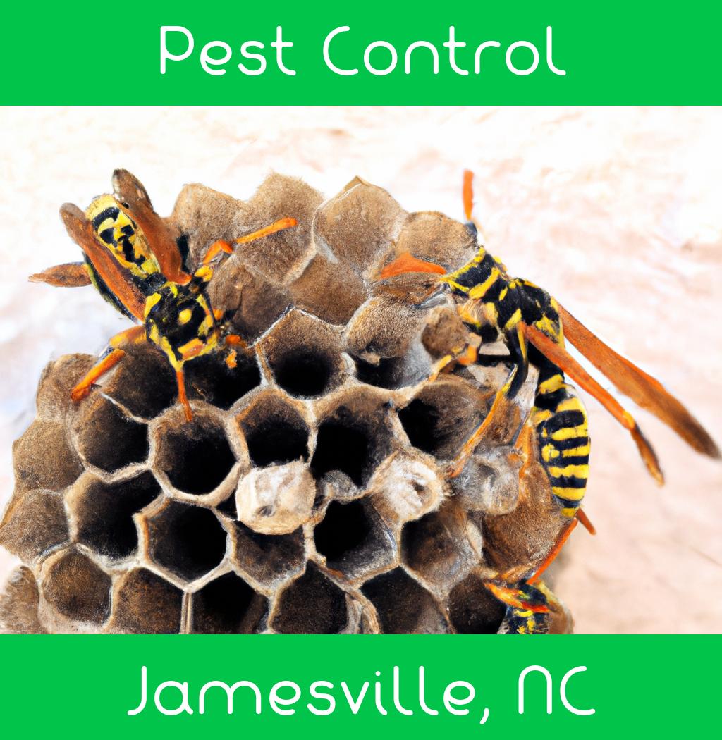 pest control in Jamesville North Carolina