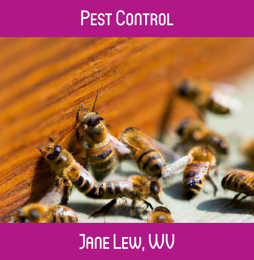 pest control in Jane Lew West Virginia