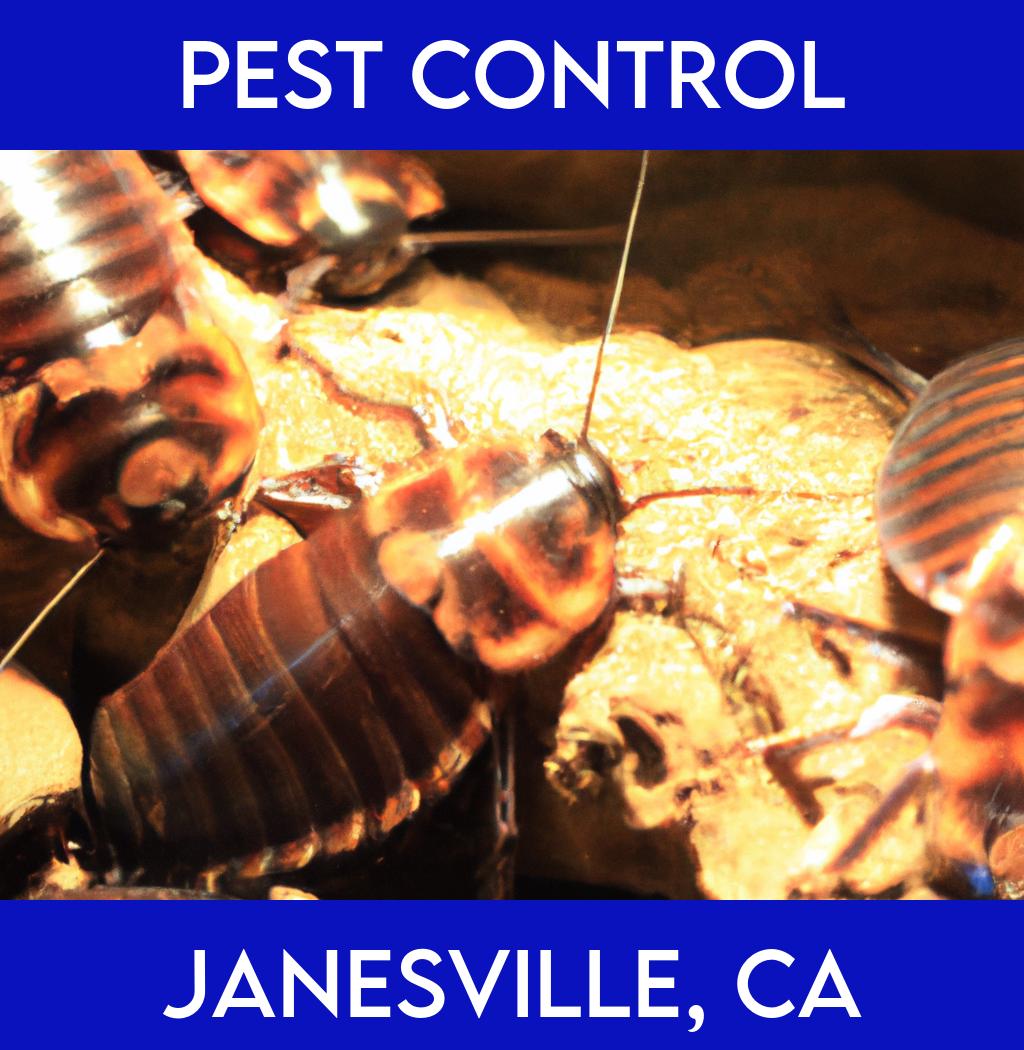 pest control in Janesville California