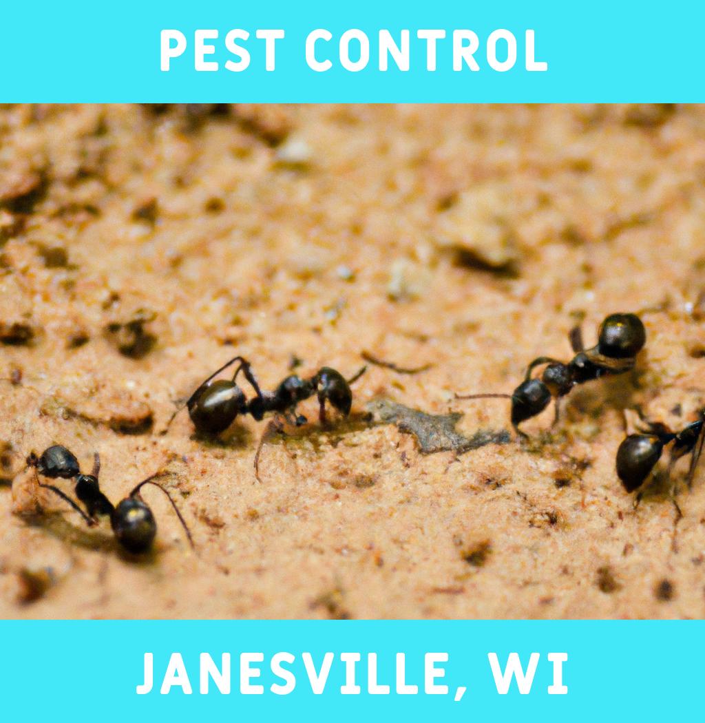 pest control in Janesville Wisconsin