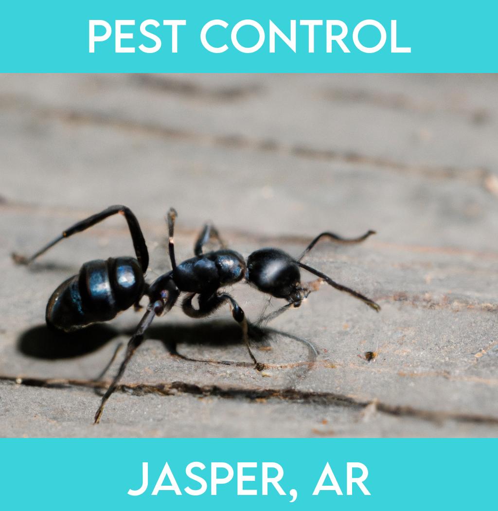 pest control in Jasper Arkansas
