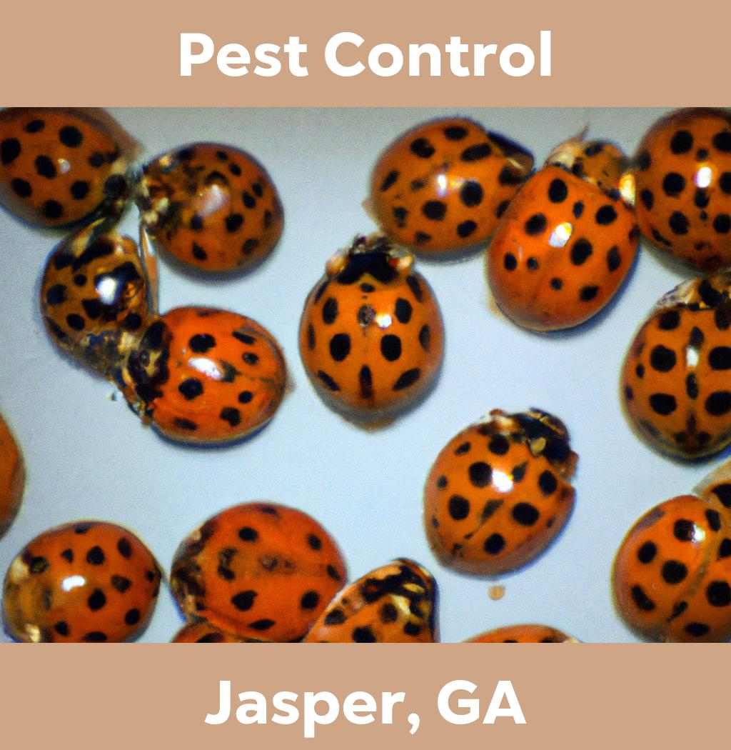 pest control in Jasper Georgia
