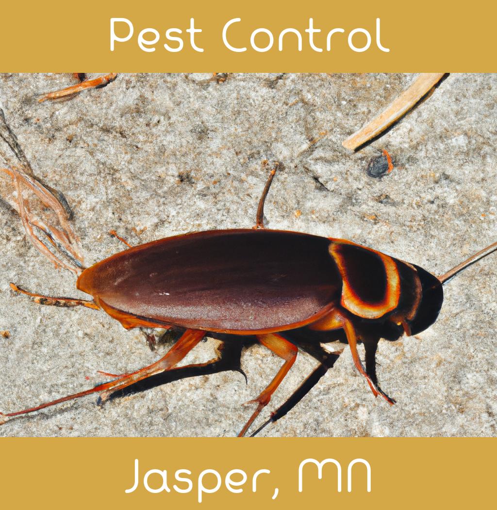 pest control in Jasper Minnesota