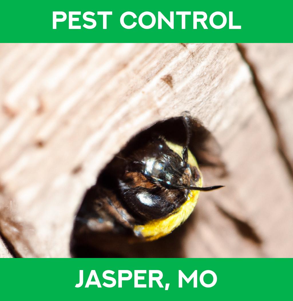 pest control in Jasper Missouri