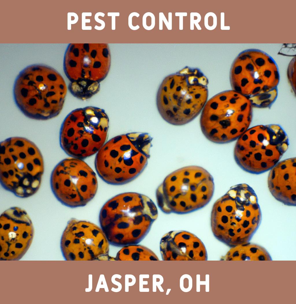 pest control in Jasper Ohio