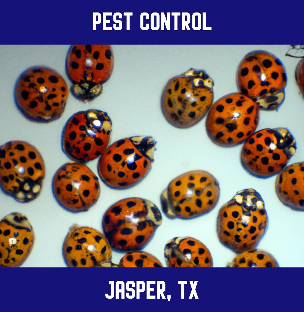 pest control in Jasper Texas