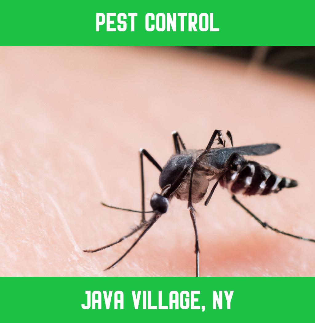 pest control in Java Village New York