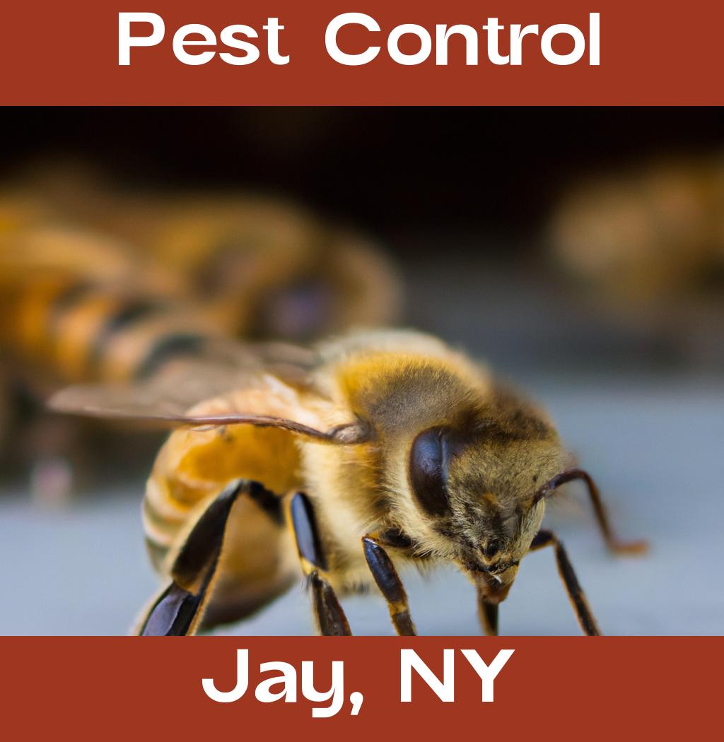 pest control in Jay New York