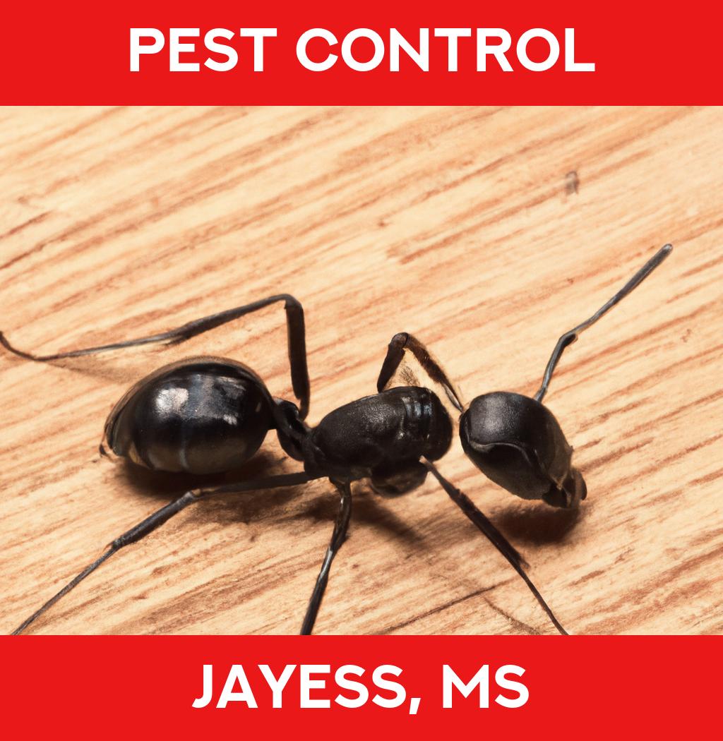 pest control in Jayess Mississippi