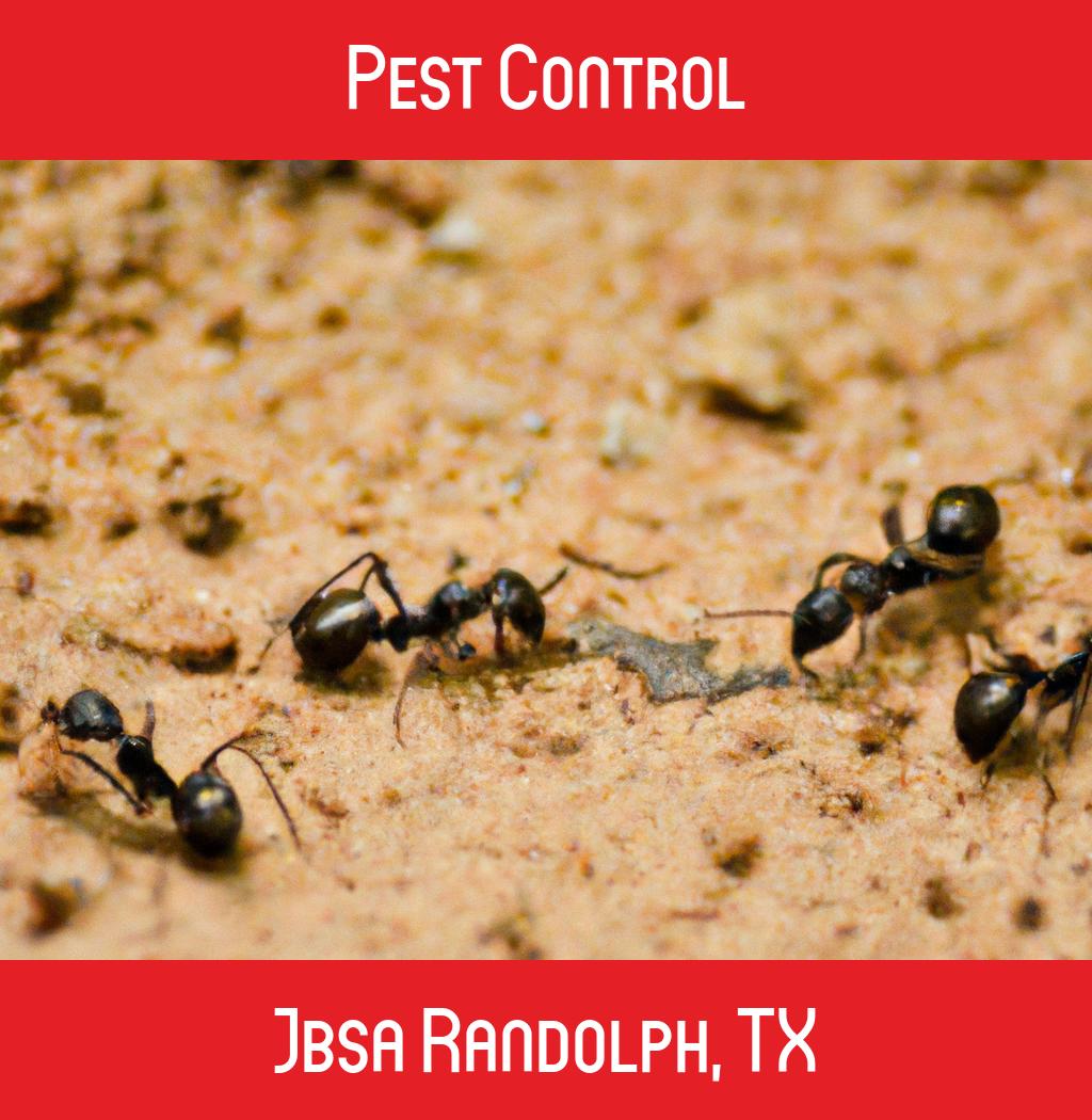 pest control in Jbsa Randolph Texas