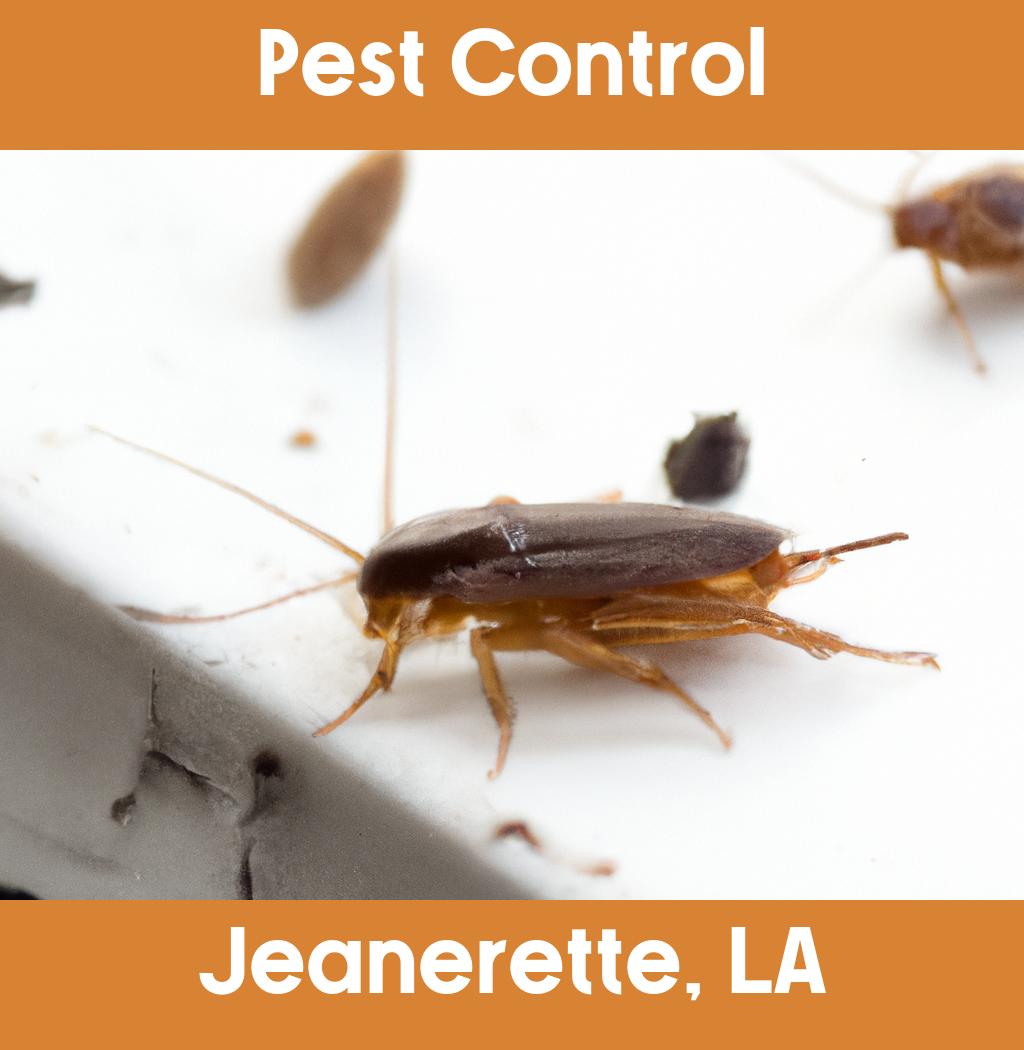 pest control in Jeanerette Louisiana