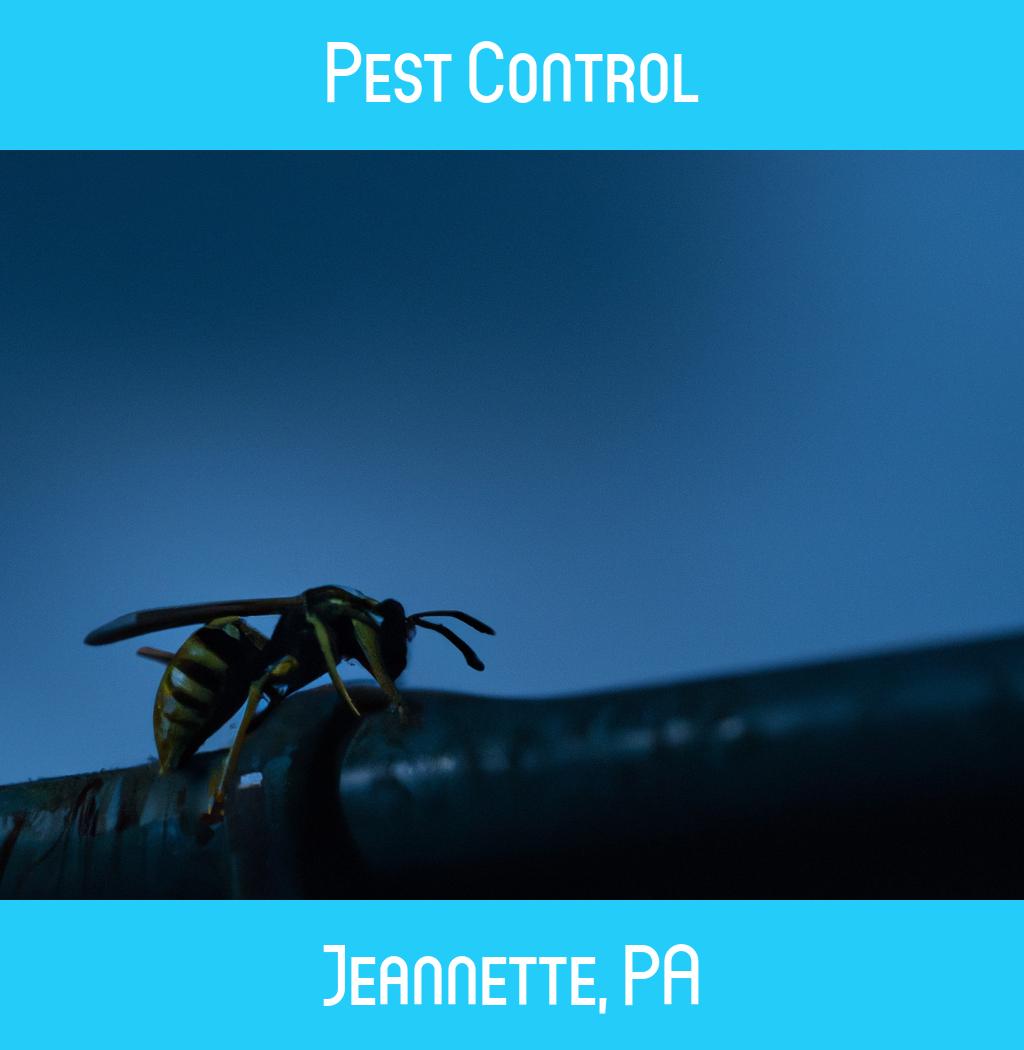 pest control in Jeannette Pennsylvania