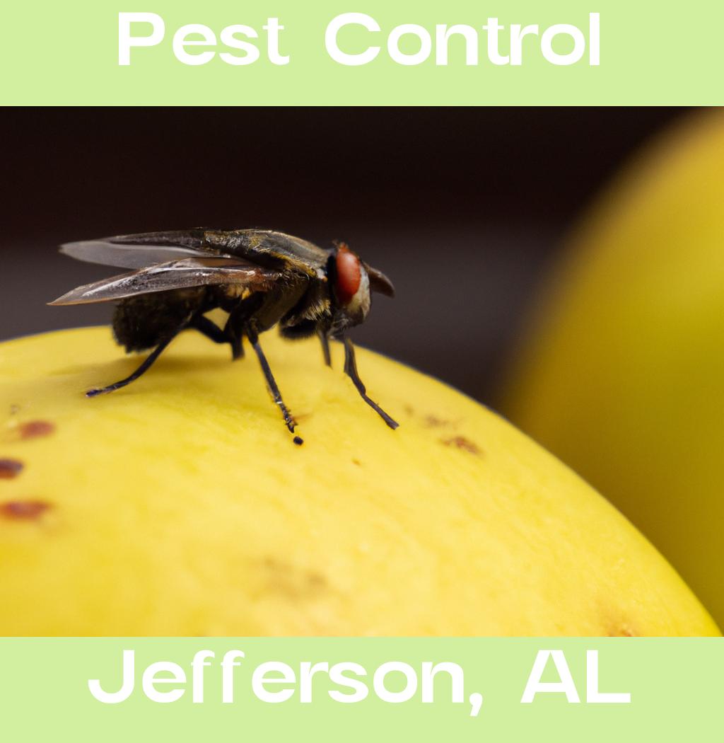 pest control in Jefferson Alabama