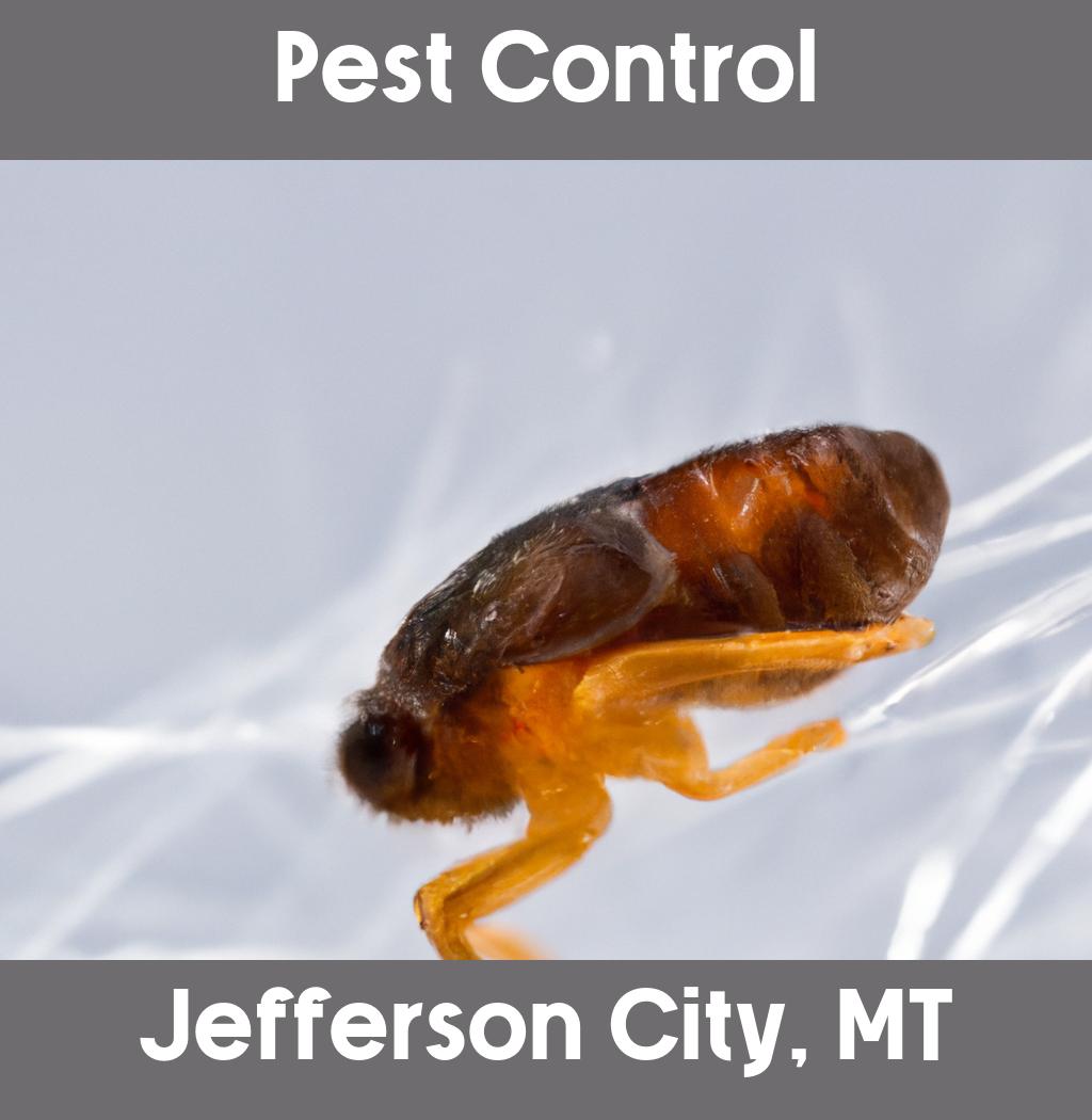 pest control in Jefferson City Montana