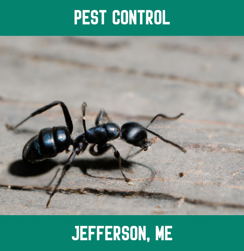 pest control in Jefferson Maine