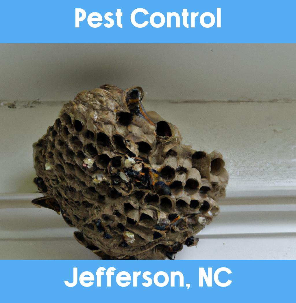 pest control in Jefferson North Carolina