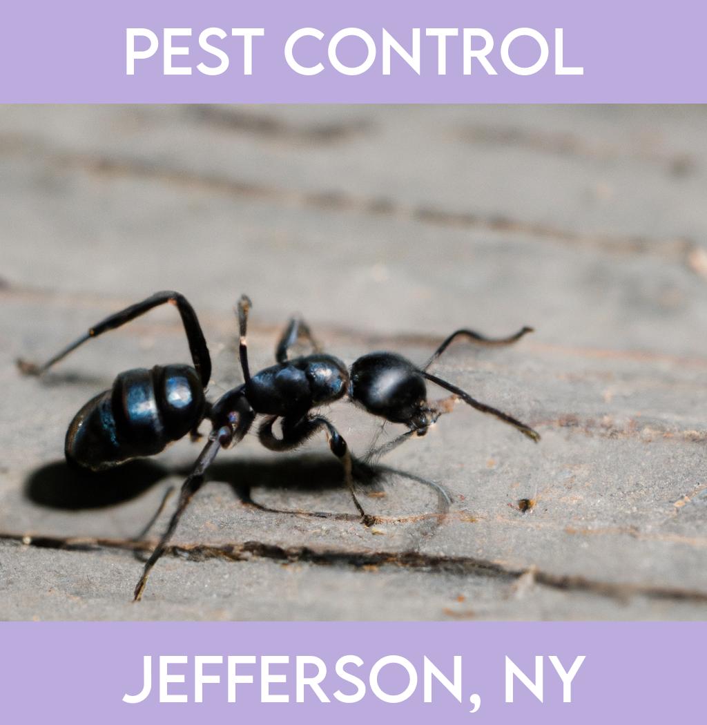 pest control in Jefferson New York