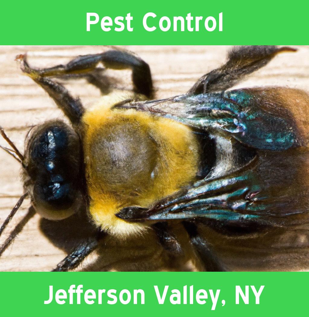 pest control in Jefferson Valley New York