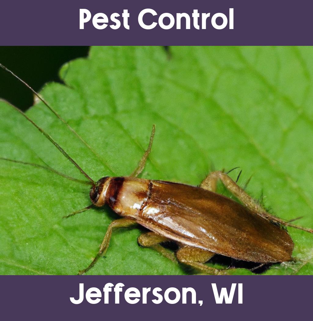 pest control in Jefferson Wisconsin
