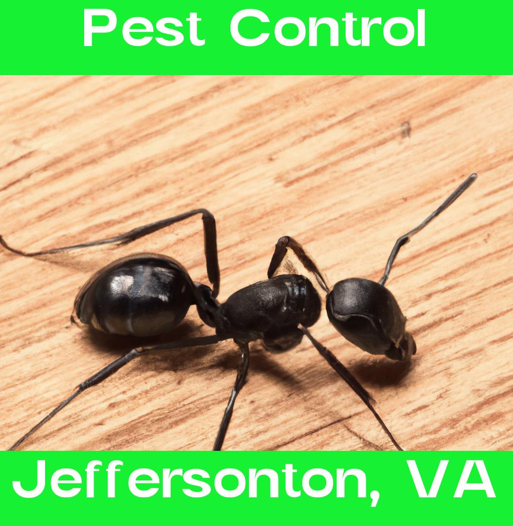 pest control in Jeffersonton Virginia