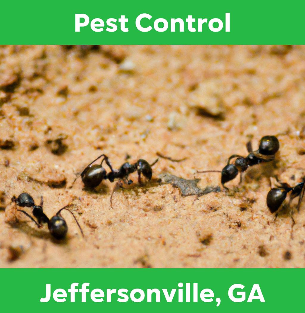 pest control in Jeffersonville Georgia