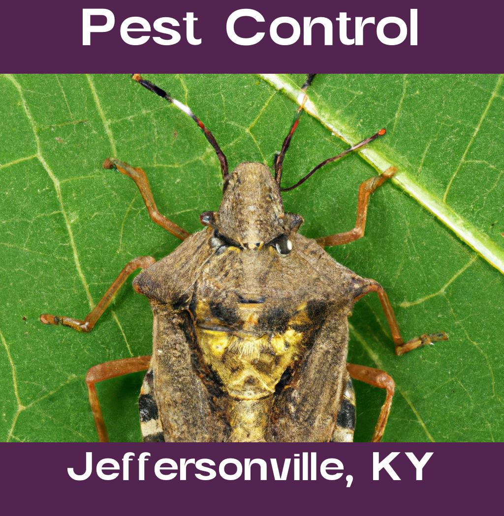 pest control in Jeffersonville Kentucky