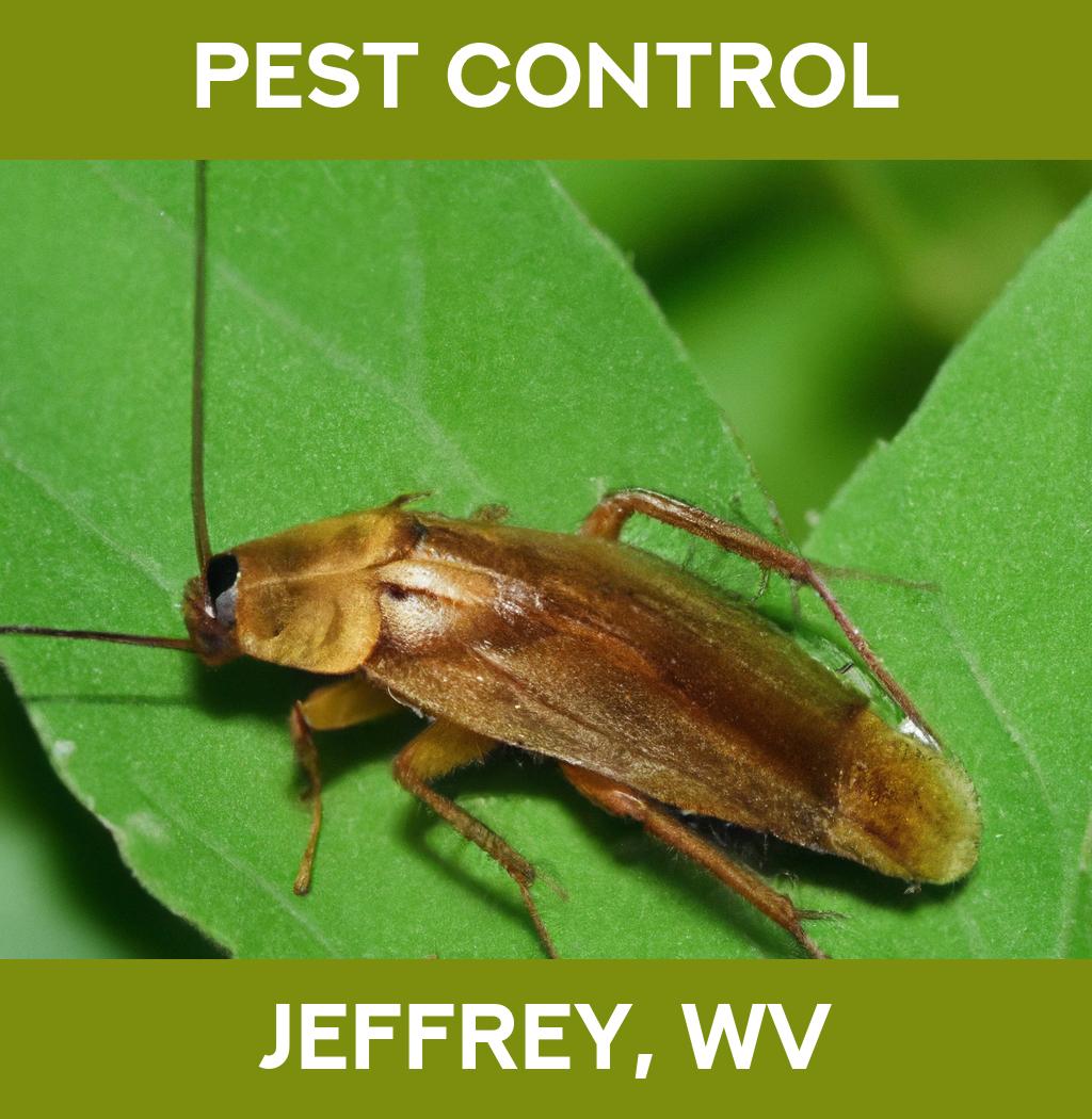 pest control in Jeffrey West Virginia