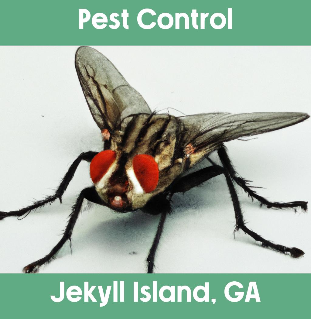 pest control in Jekyll Island Georgia