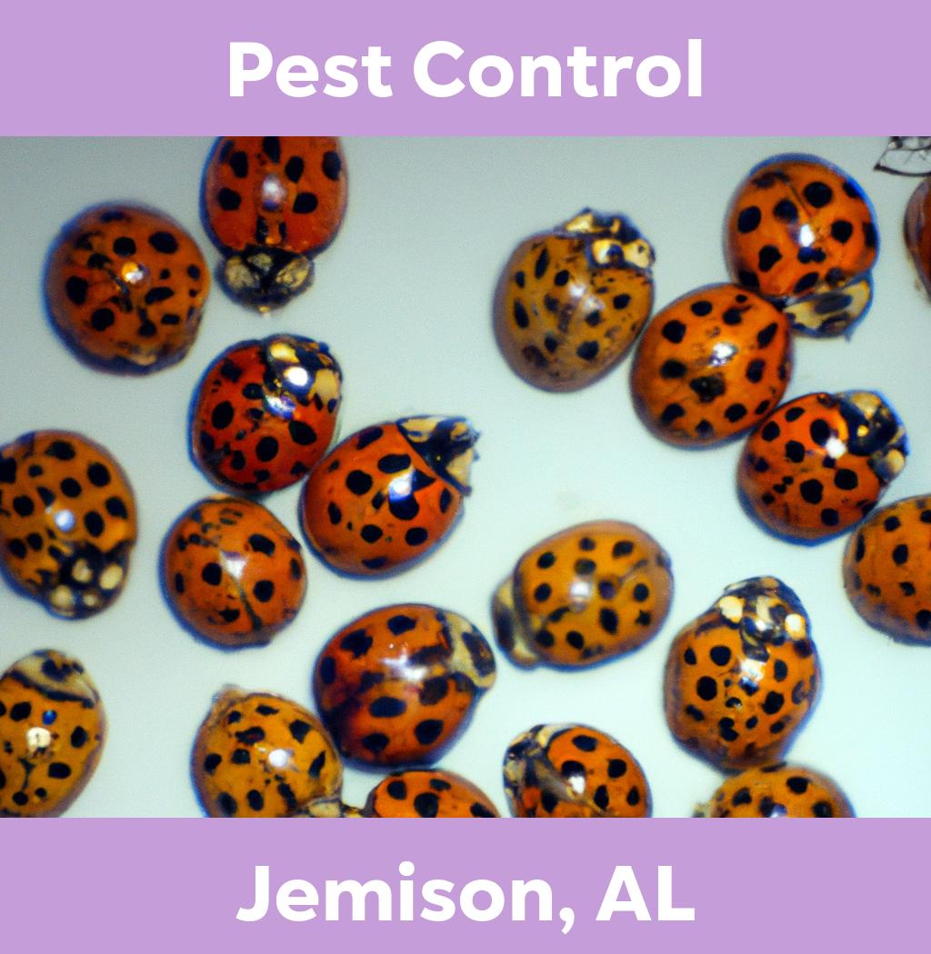 pest control in Jemison Alabama