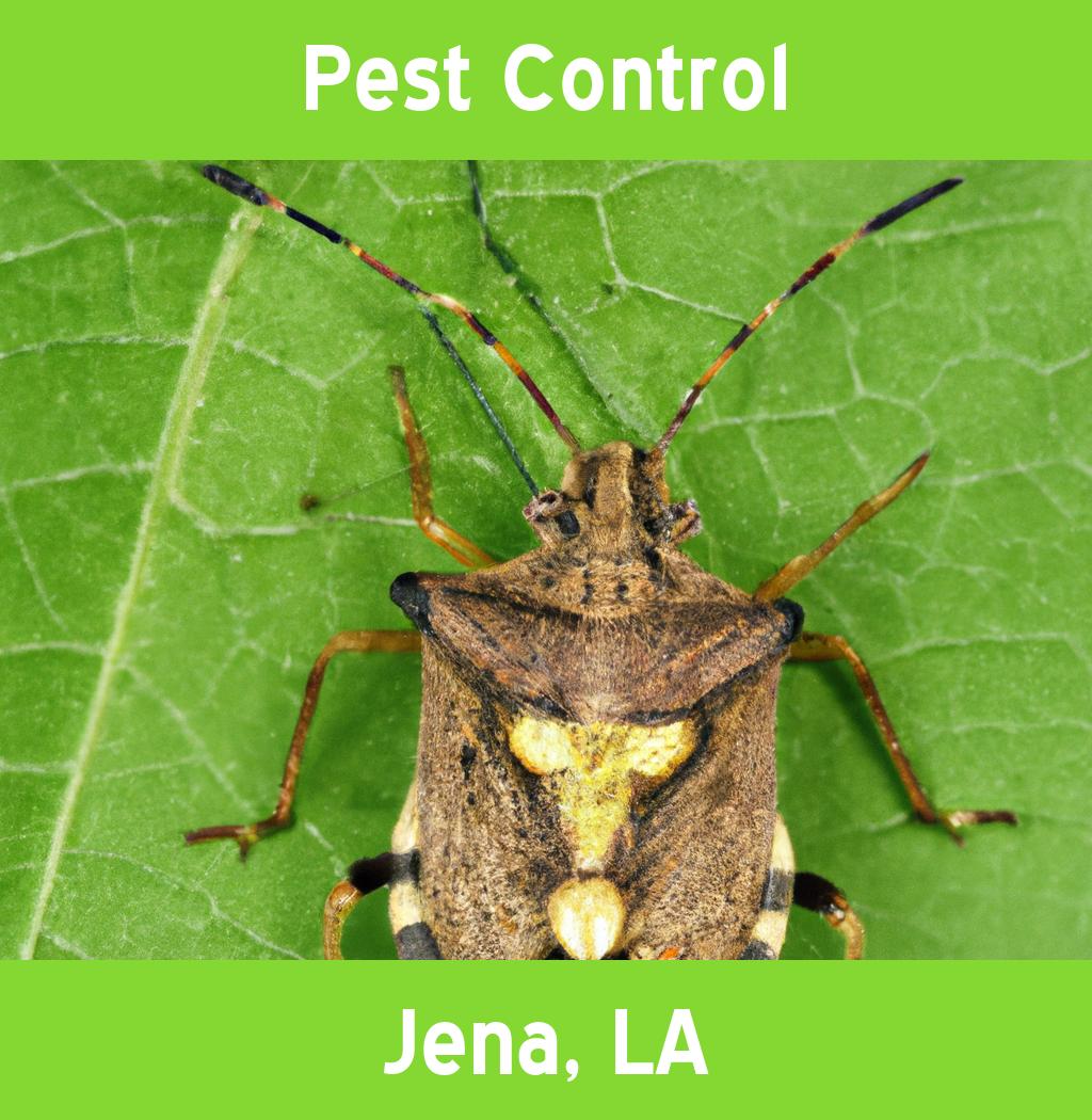 pest control in Jena Louisiana