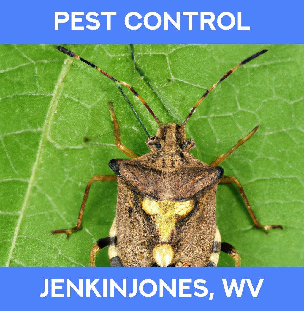 pest control in Jenkinjones West Virginia