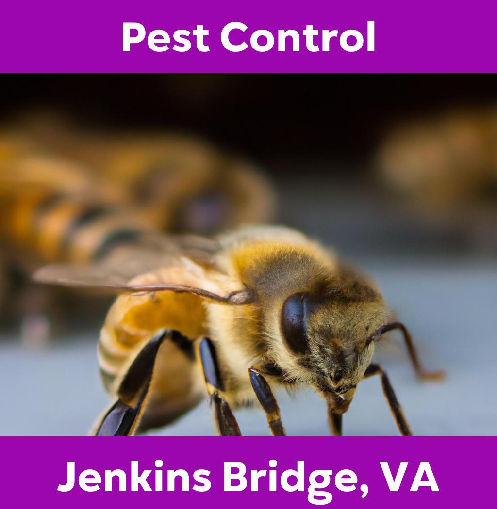 pest control in Jenkins Bridge Virginia