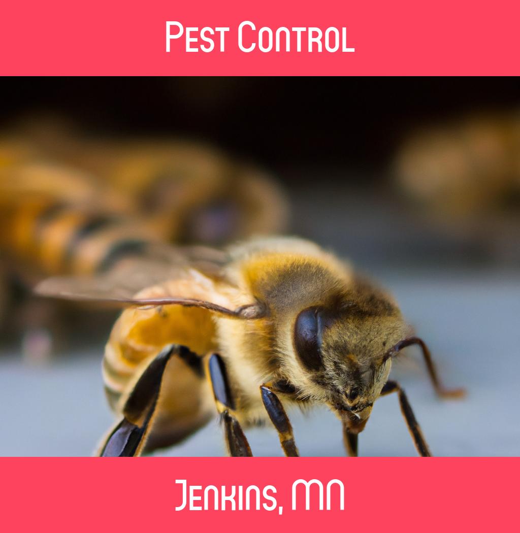 pest control in Jenkins Minnesota