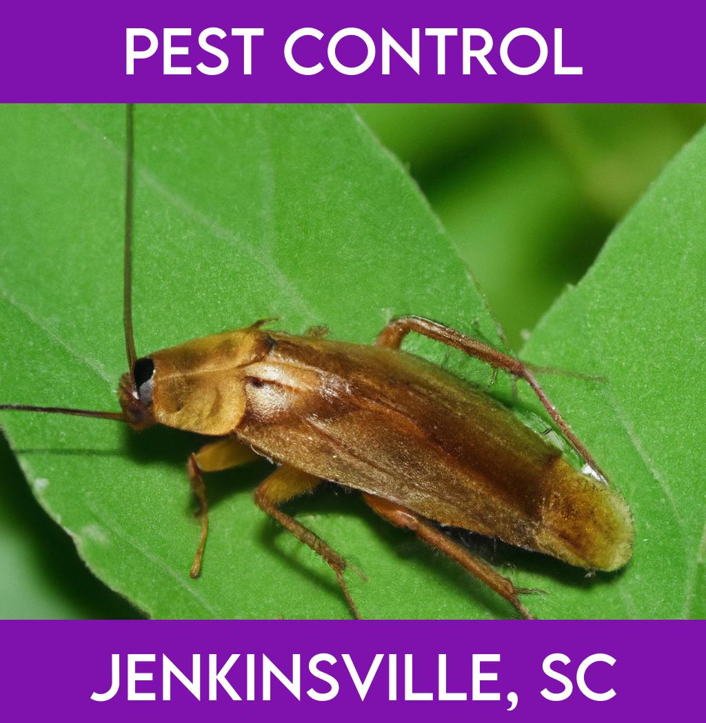 pest control in Jenkinsville South Carolina