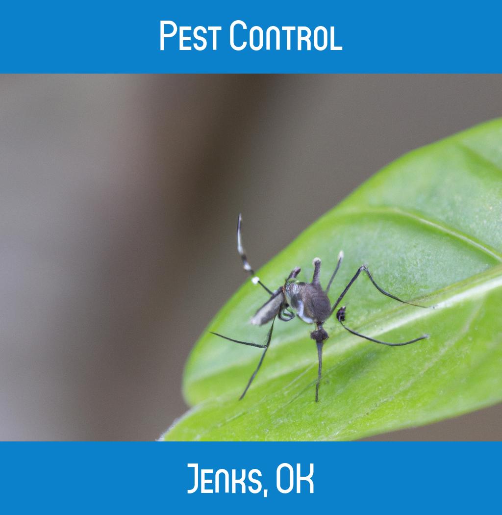 pest control in Jenks Oklahoma