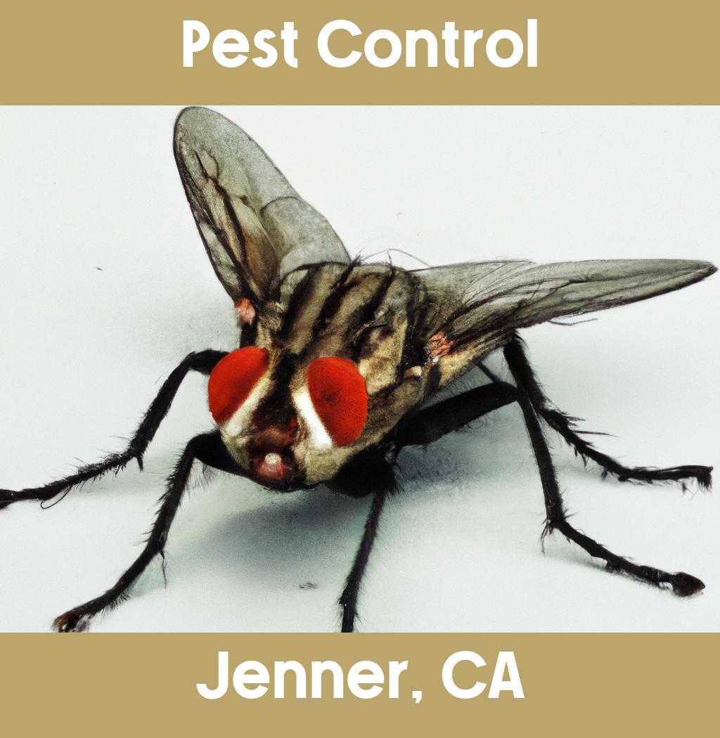 pest control in Jenner California