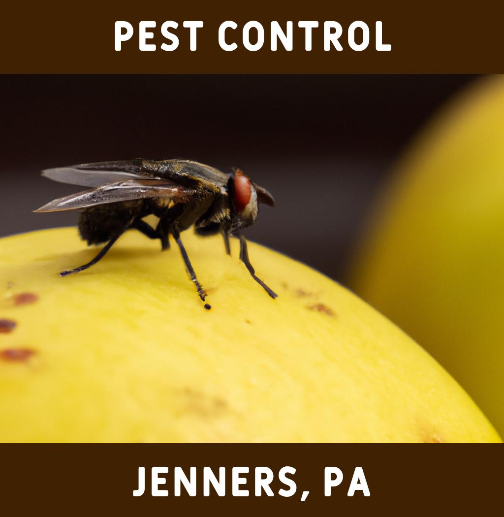 pest control in Jenners Pennsylvania
