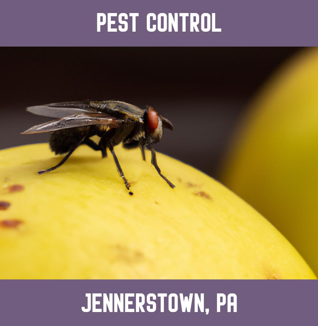 pest control in Jennerstown Pennsylvania