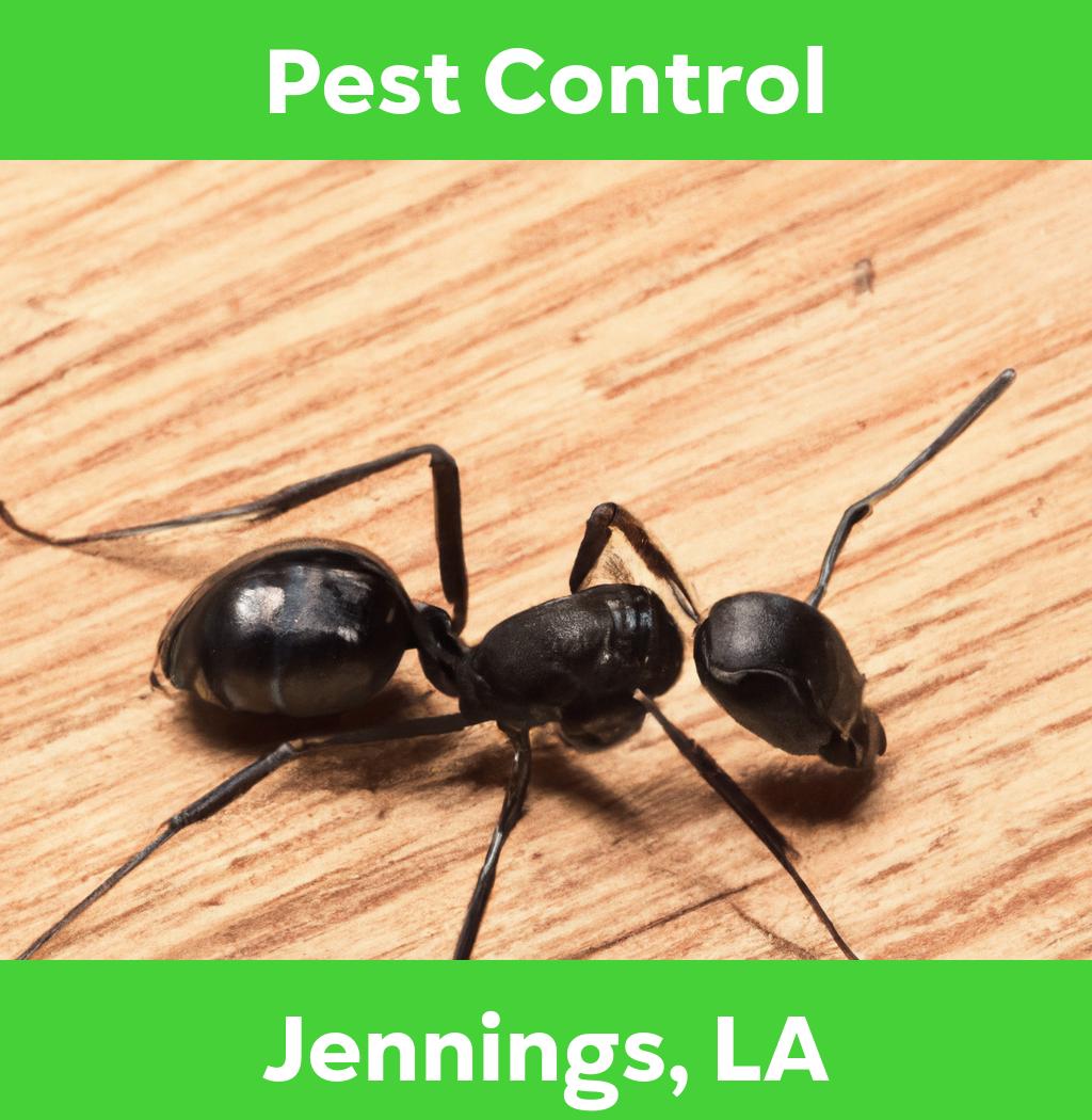 pest control in Jennings Louisiana