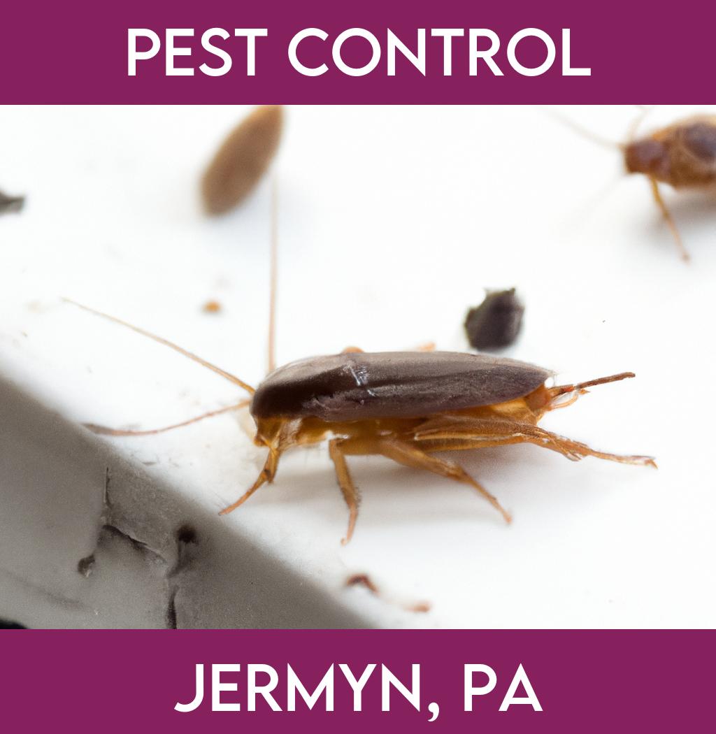 pest control in Jermyn Pennsylvania