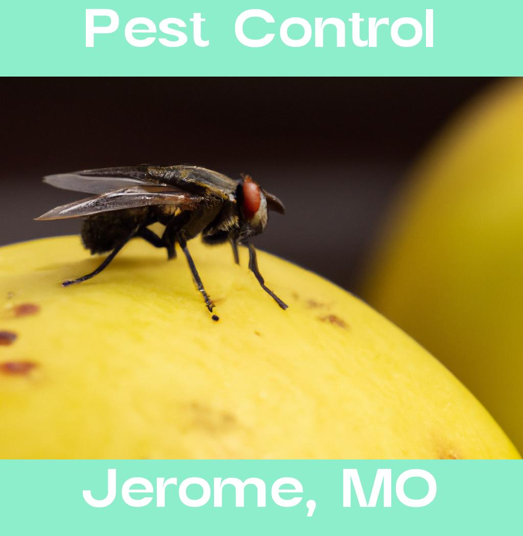 pest control in Jerome Missouri