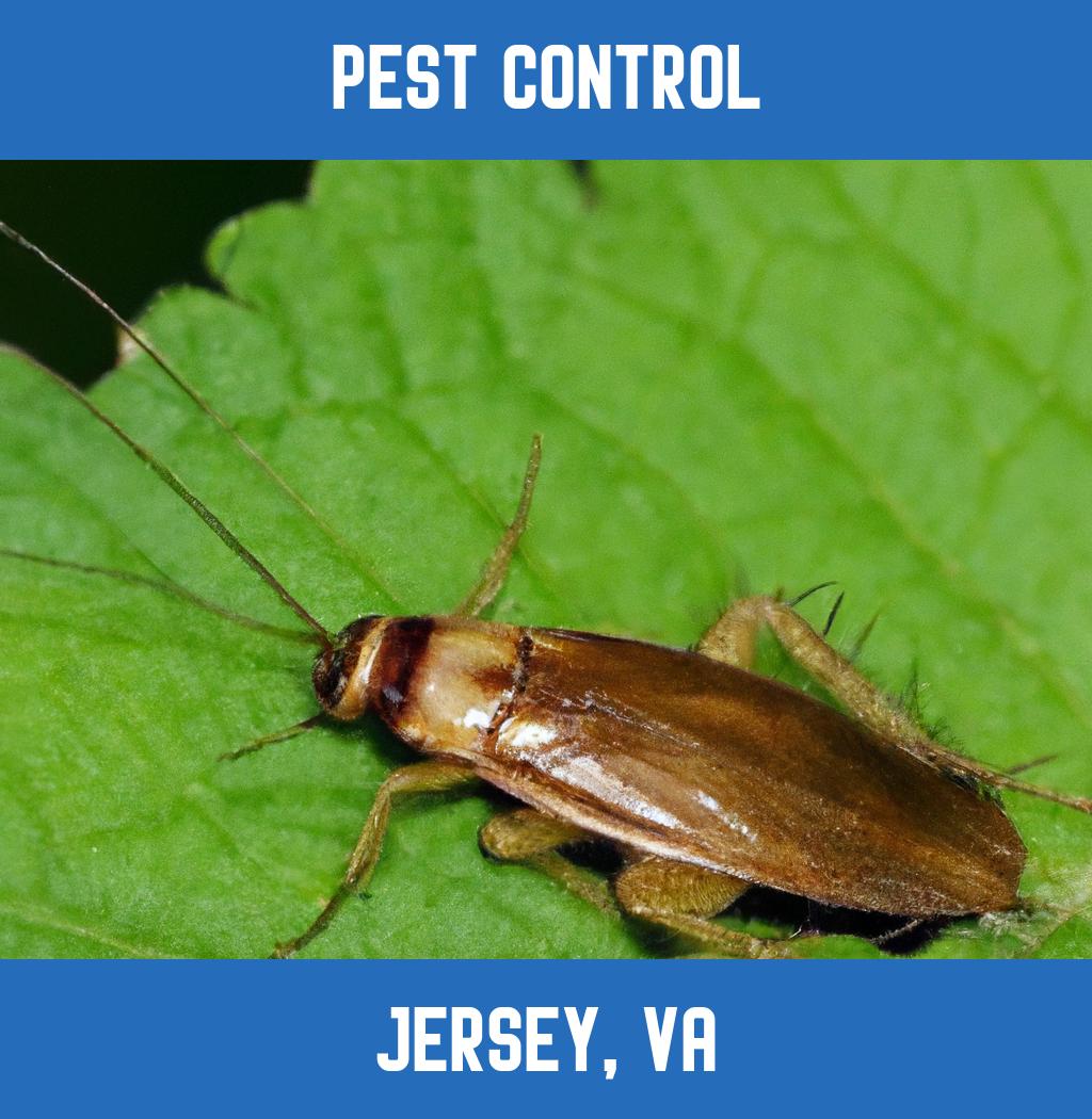 pest control in Jersey Virginia