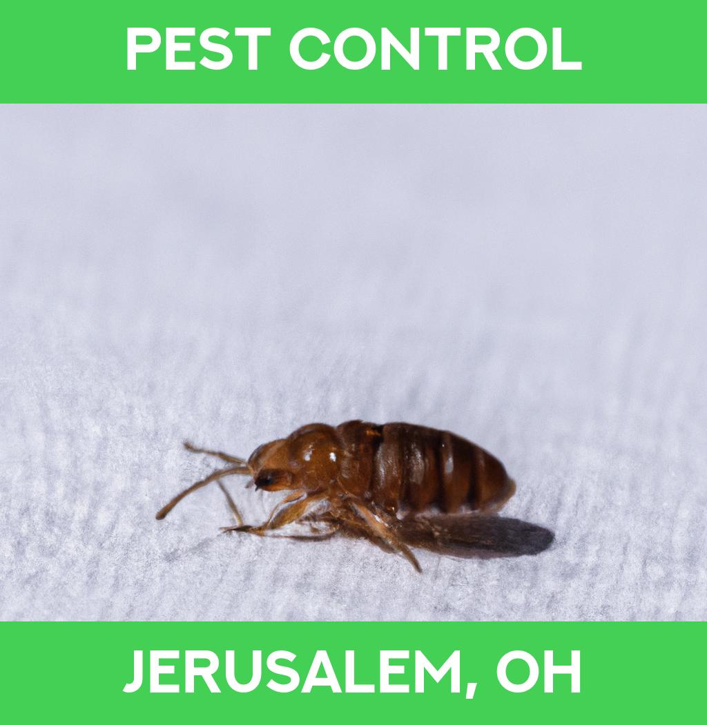 pest control in Jerusalem Ohio