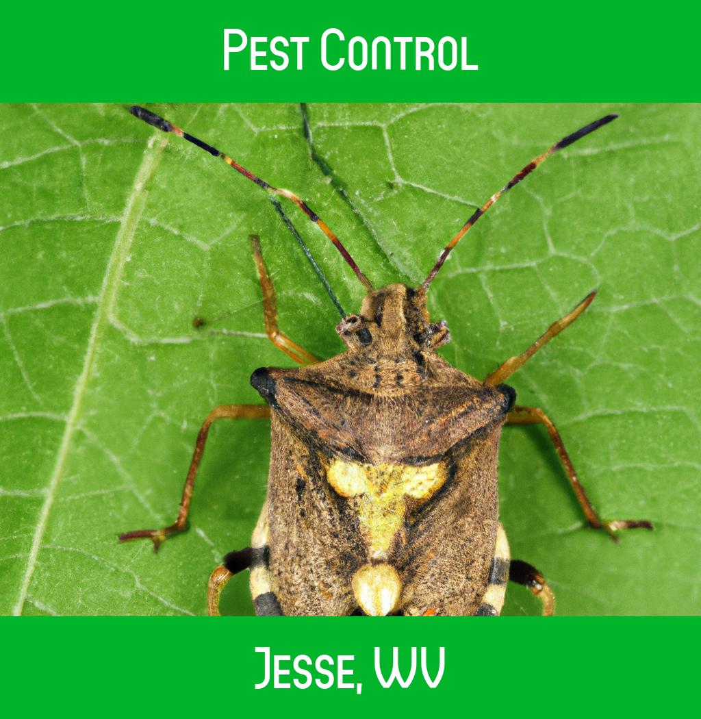 pest control in Jesse West Virginia