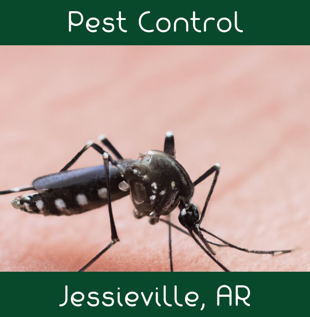 pest control in Jessieville Arkansas